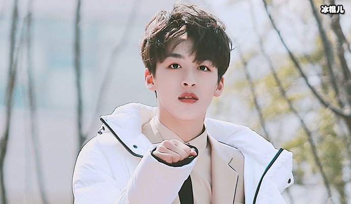 何洛洛个人资料