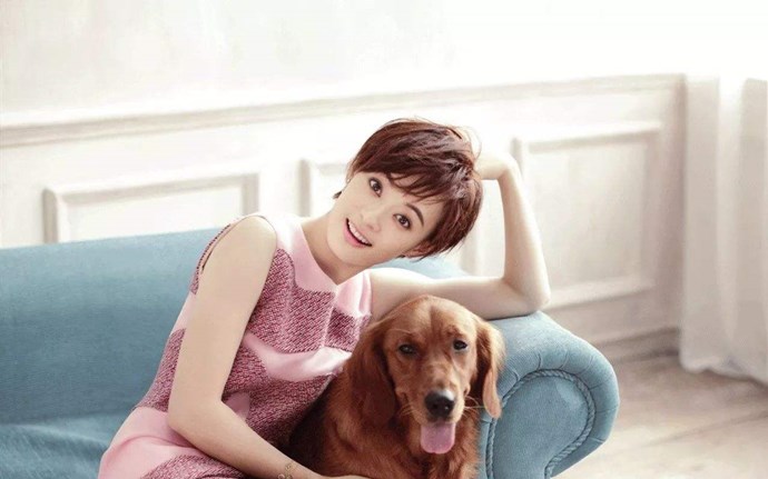 网曝孙俪怀第三胎