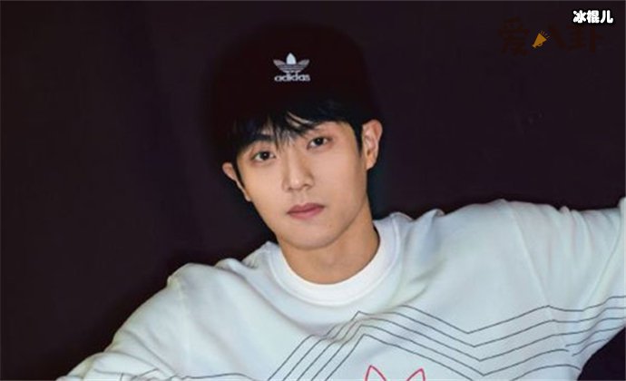 陈靖可个人资料