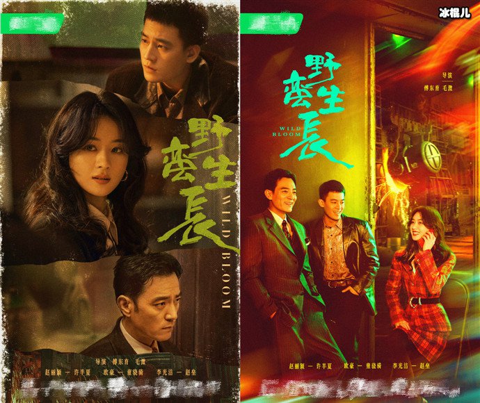 野蛮生长改编自什么小说