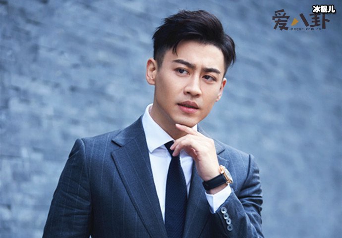 演员刘凯几几年的