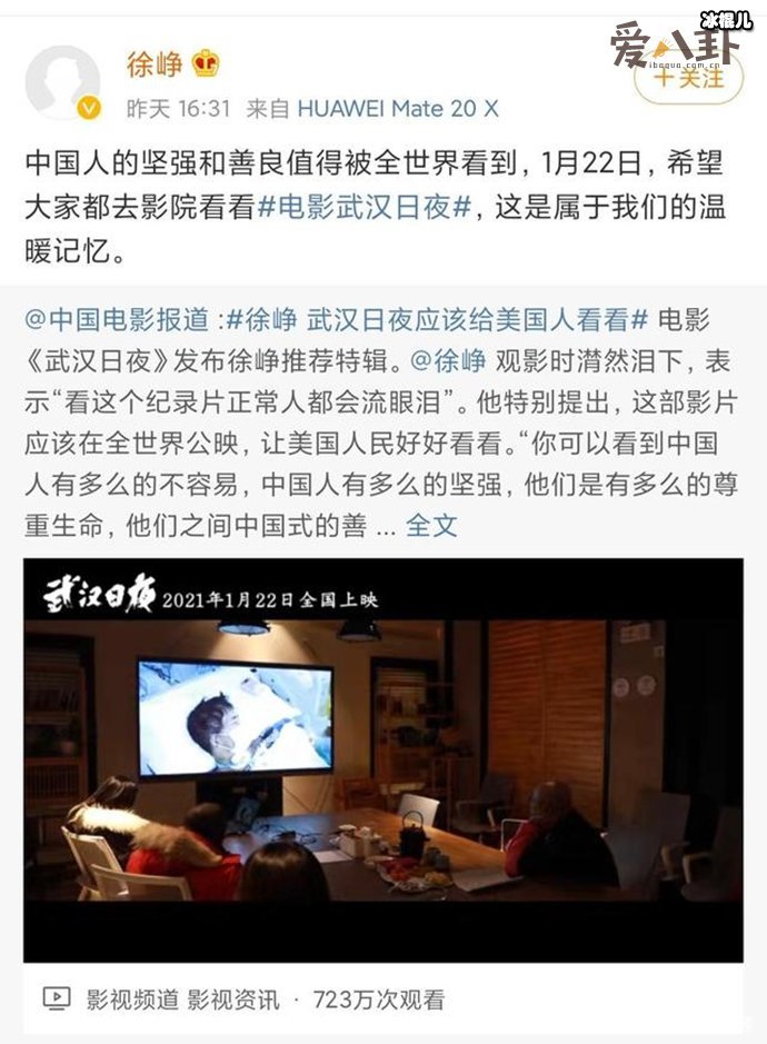 徐峥《武汉日夜》应该给美国人看看