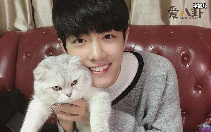 肖战粉丝为何称不看都能知晓其回应内容