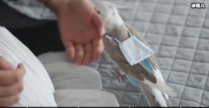 逆天发明让外国人争着要