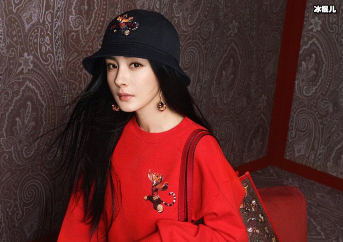 杨幂当选中视协工委会执委