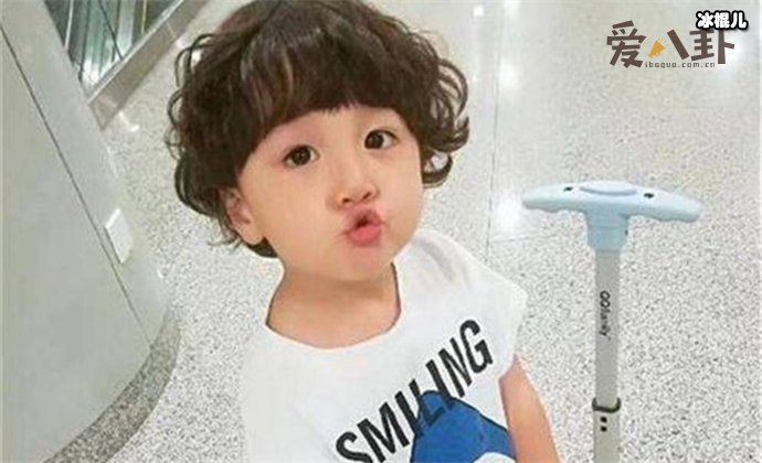 童星豪豪父母是谁