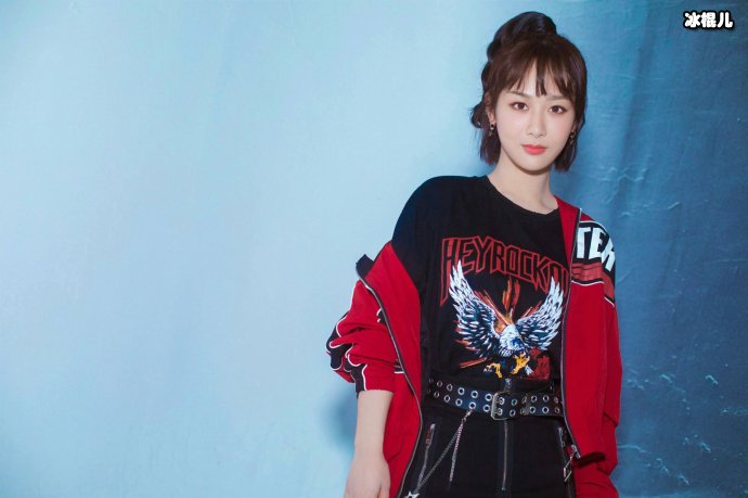 杨紫工作室就抄袭道歉