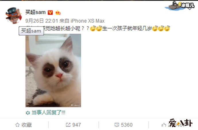 买超发文夸张嘉倪