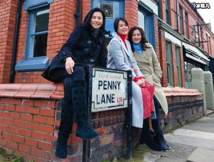 胡杏儿宣萱陈慧珊