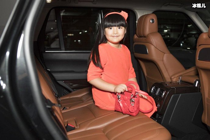 李湘富养女儿惹质疑