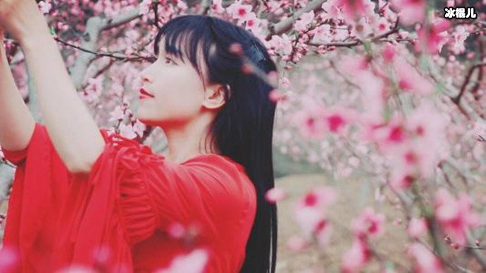 李子柒视频中的婆婆是亲的吗