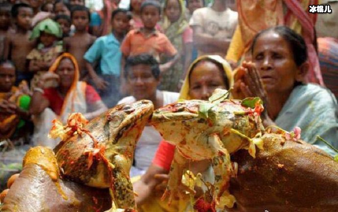 为青蛙举行婚礼的村民