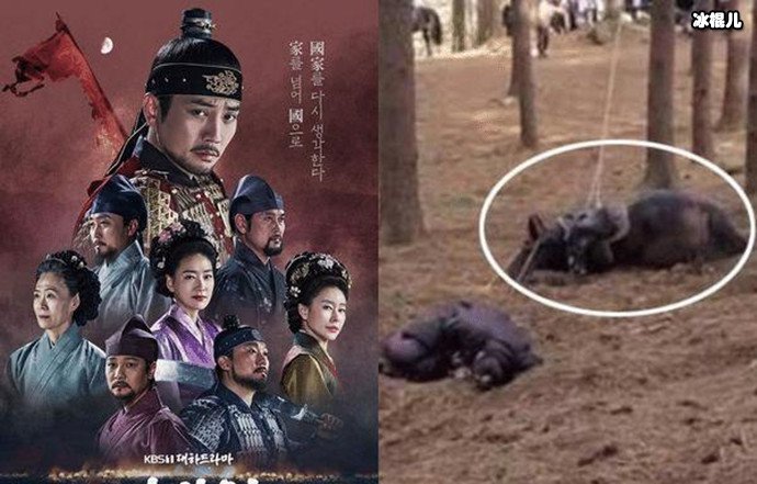 韩剧太宗李芳远被抵制