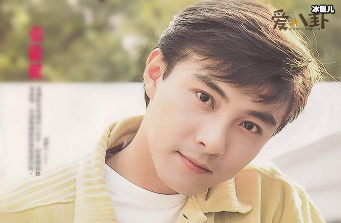 张卫健为什么不拍戏了