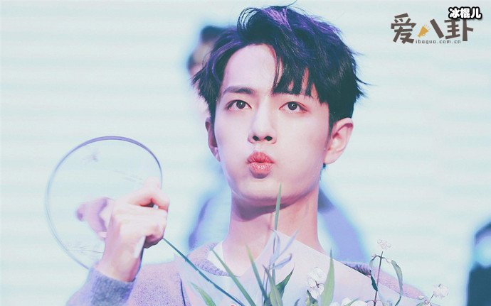 肖战粉丝再惹祸