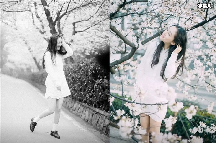 吴倩晒樱花树下的旧照