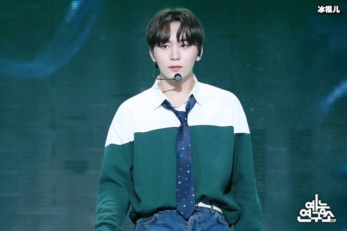 SEVENTEEN夫胜宽图片