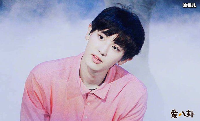 朴灿烈公布理想型 