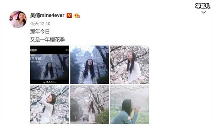 吴倩晒樱花树下的旧照