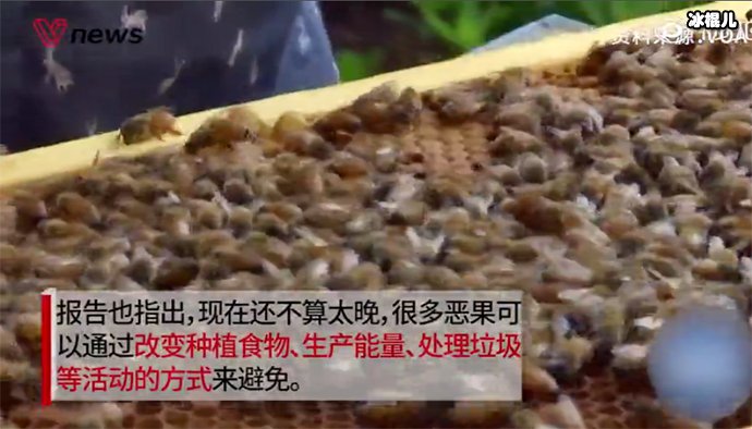 100万物种面临灭绝