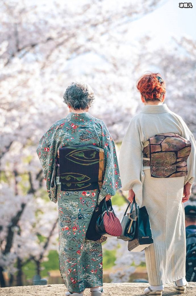 穿和服进武大赏樱被打