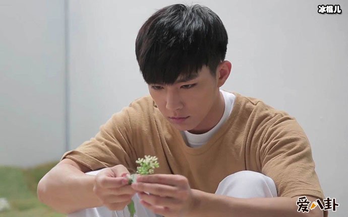 网友为何对炎亚纶这么有意见