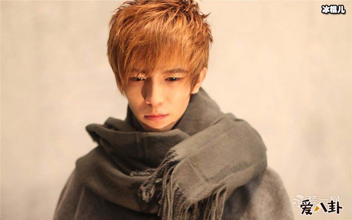 郭敬明抄袭事件