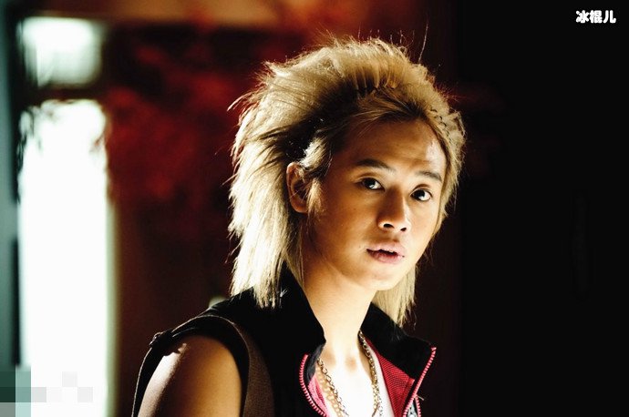 南拳妈妈弹头个人资料