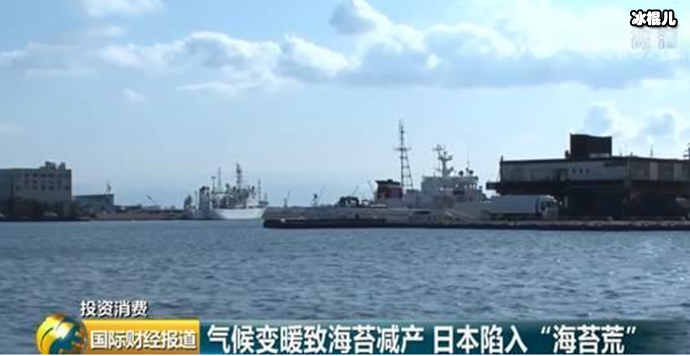 日本陷入海苔荒