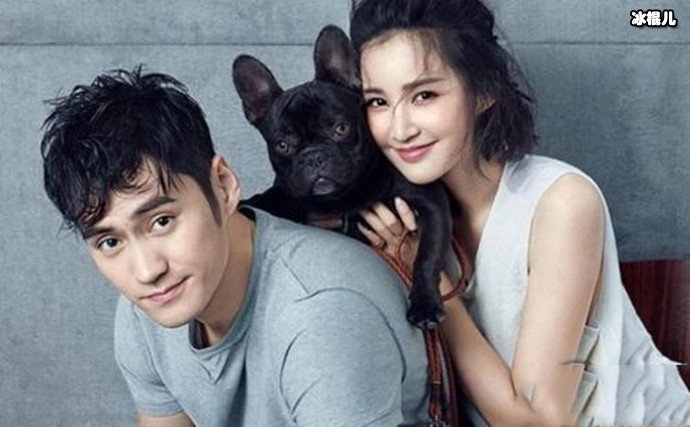 张歆艺结过几次婚