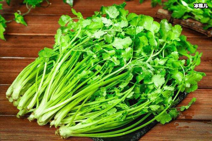 香菜被讨厌的原因