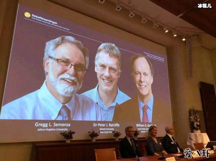 2019诺贝尔生理学奖颁奖现场