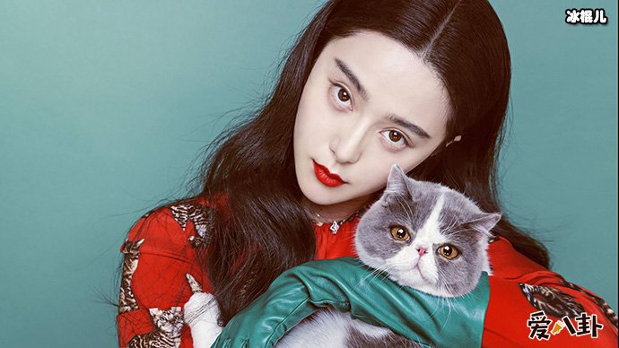 范冰冰又做错了什么让粉丝如此怒怼