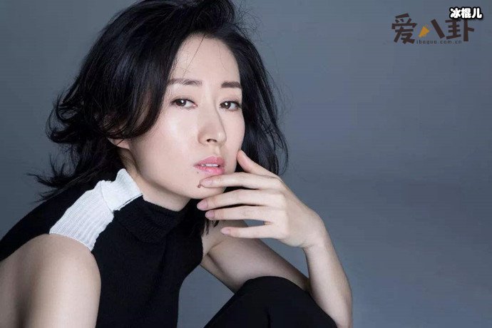 刘敏涛因表情包大火