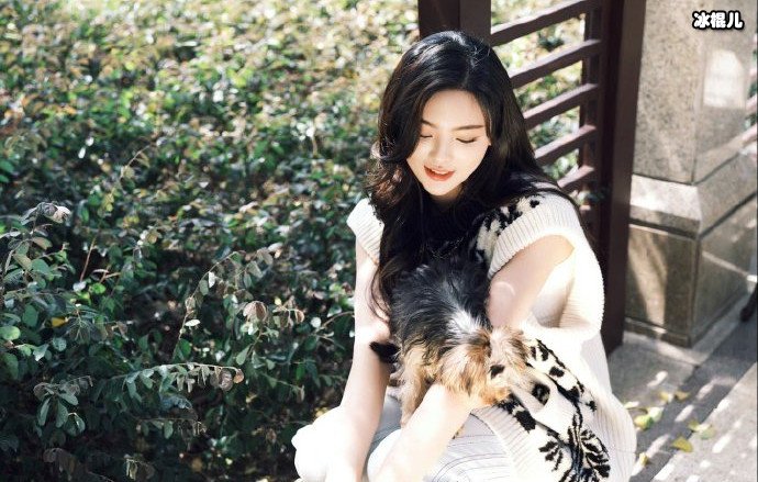 杨超越为何不读书了