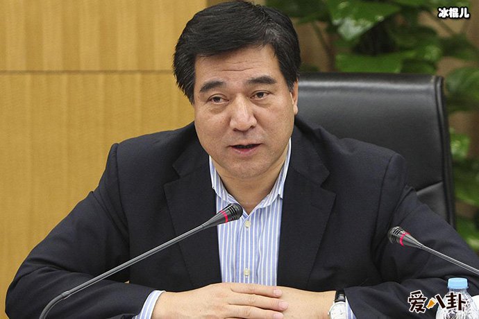 谭晶是申维辰的情妇吗