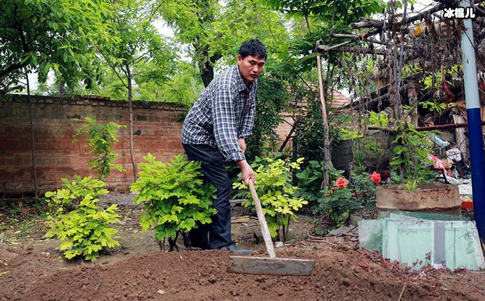 大衣哥农作照片