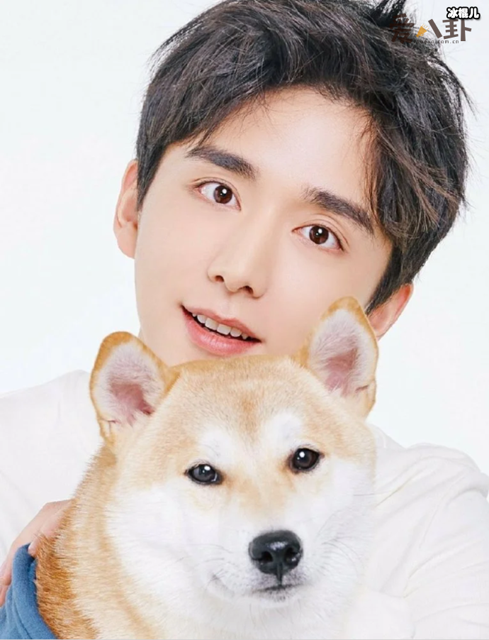 张新成《以家人之名》的小哥贺子秋