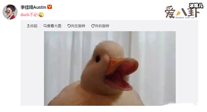 duck不必是怎么火起来的