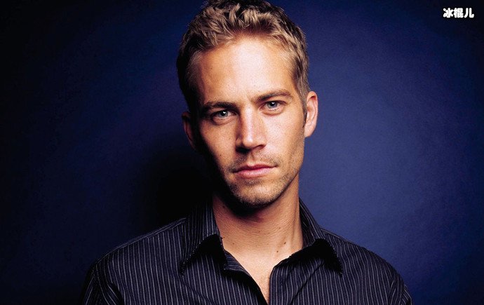 激情与速度男主去世时间