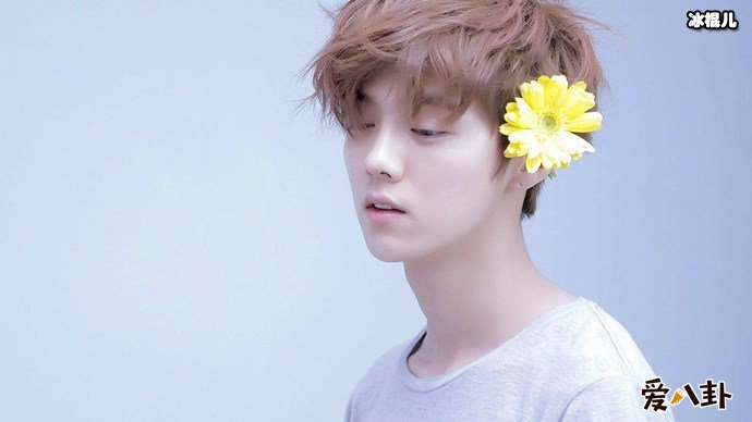 关晓彤男友鹿晗写真