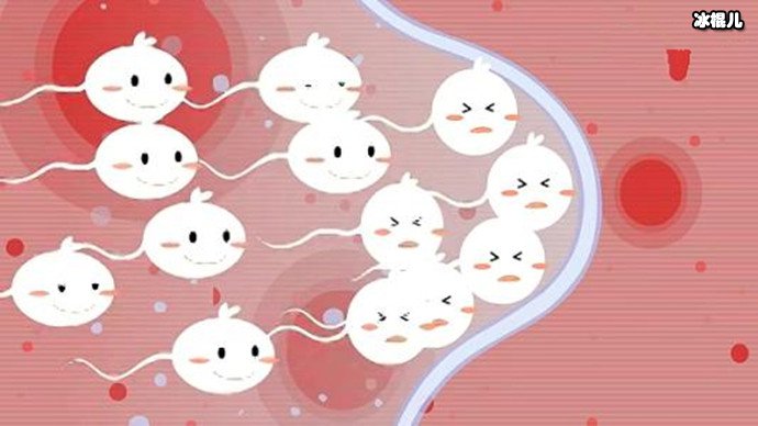 精子美容有科学依据吗