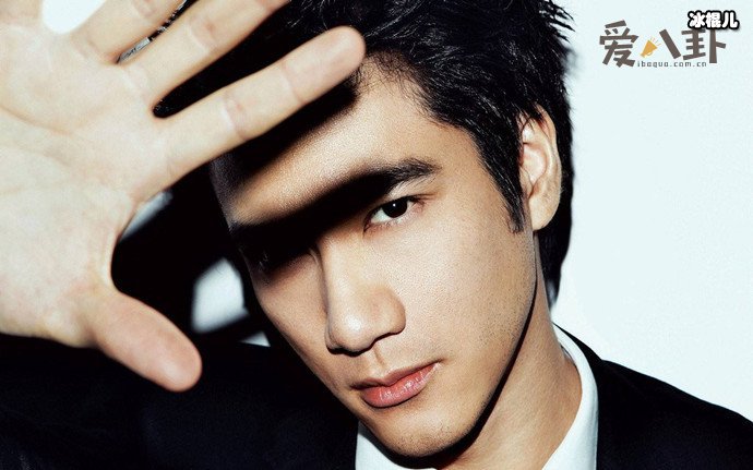 王力宏和李云迪曾传绯闻