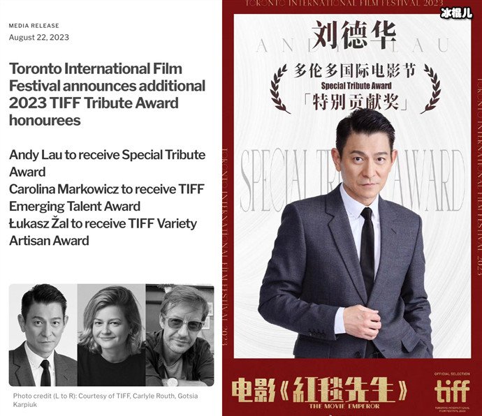 刘德华获多伦多电影节特别贡献奖