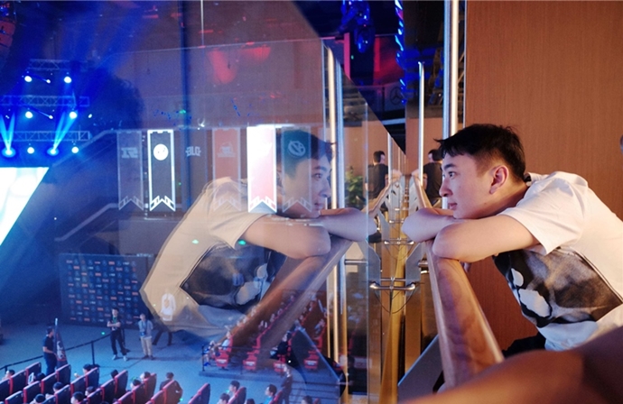 王思聪名下资产冻结