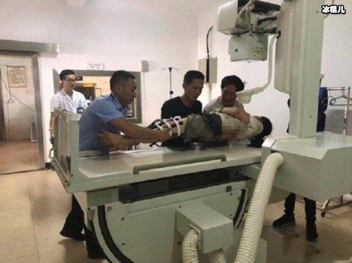 野象频频袭击人