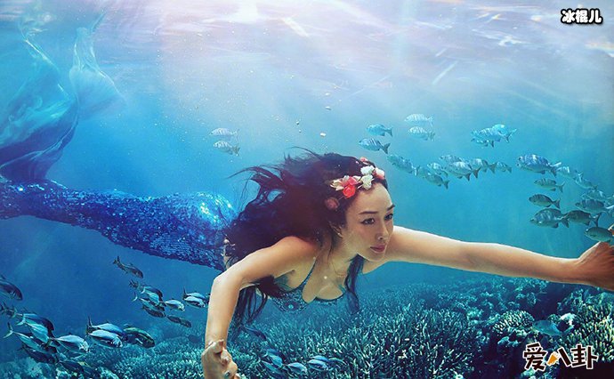 钟丽缇谈失败婚姻