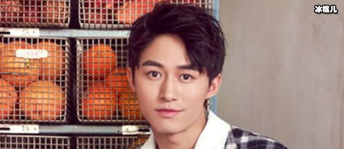 付嘉主演的电视剧