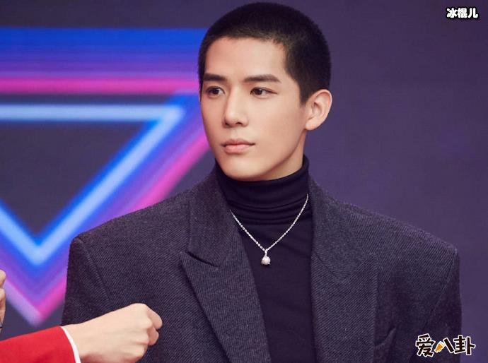 王安宇女友是谁