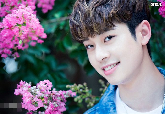 金东贤演艺经历